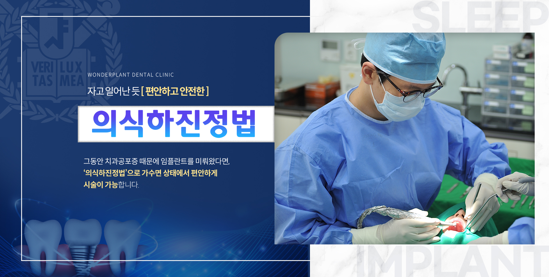 의식하진정법